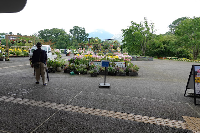 鳥取県西伯郡南部町鶴田 とっとり花回廊 エントランス展示