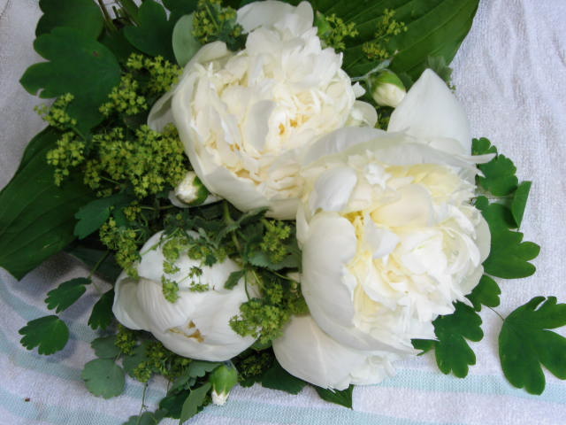 daylily wedding bouquet. Bridal Bouquet with white