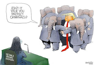 Group of Republican Elephants form a protective shield around Donald Trump.  One of them asks Ketanji Brown Jackson, 