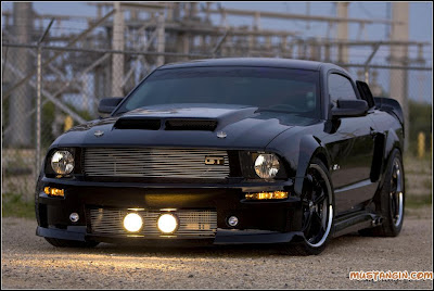 black mustang