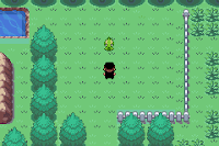 Pokemon Flaze Screenshot 05