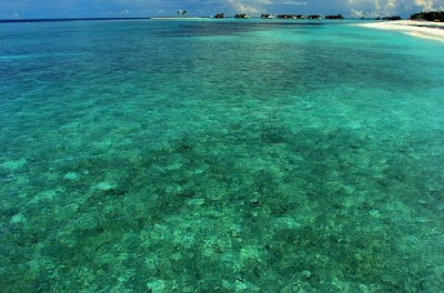 Gorgeous Maldivas(Heaven on Earth)
