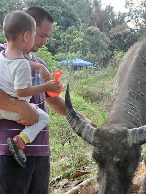 Seronoknya luangkan masa ajar anak-anak berkebun