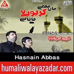 http://www.humaliwalayazadar.com/2014/10/hasnain-abbas-nohay-2015.html