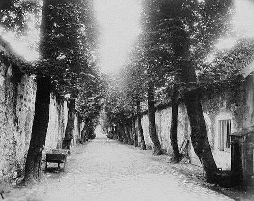 Image result for Eugène Atget