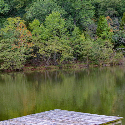 Trees Reflected in Water photo by mbgphoto