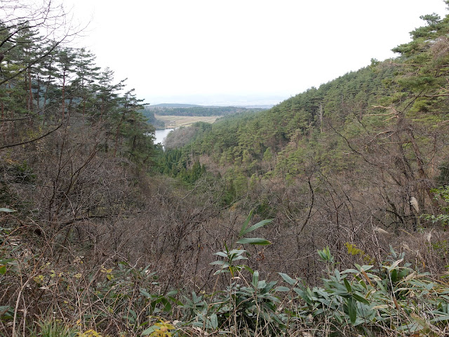 赤松池の脇道からの眺望　赤松池