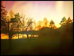 IMG_1400