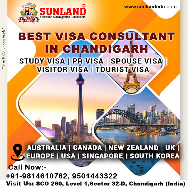 Best Immigration Consultants Chandigarh