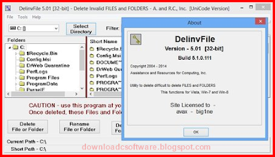 License Key DelinvFile 5.01 Build 5.1.0.113