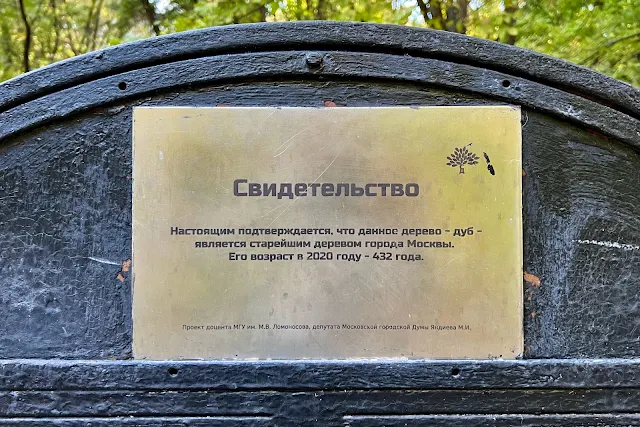 Грачёвский парк, «Свидетельство / Настоящим подтверждается, что данное дерево – дуб – является старейшим деревом города Москвы. Его возраст в 2020 году – 432 года.»