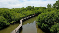 Wisata Hutan Mangrove Wonorejo