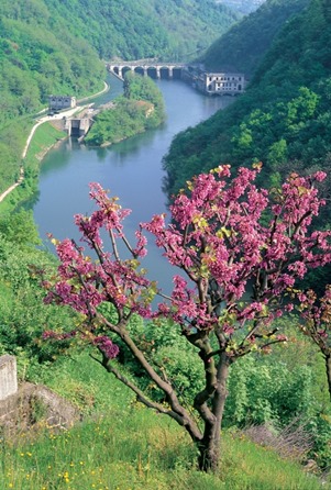 Lanfranchi