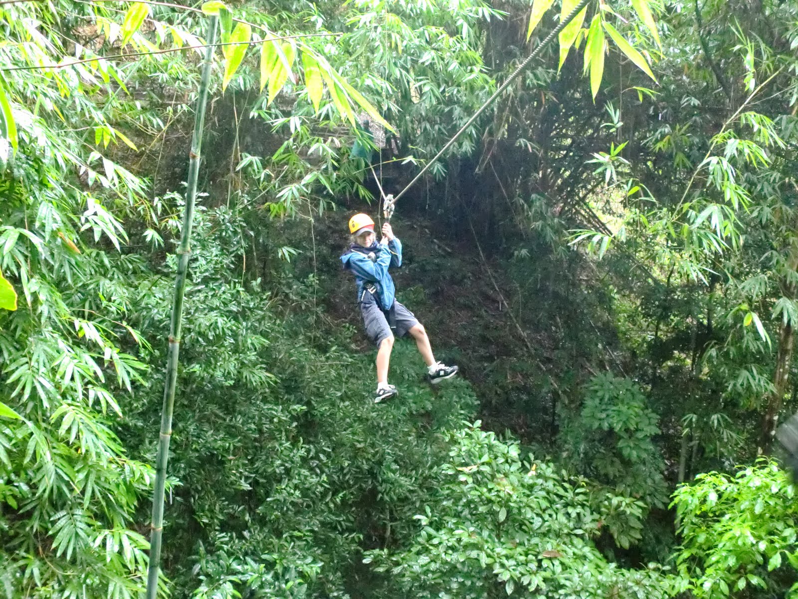 Chiang Mai Holiday Adventure Flight of the Gibbon Zipline Tour ...