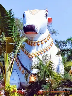 Huge Nandi at Nandi Park at Mahanandi