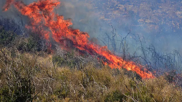Αργολίδα: Μικρής έκτασης φωτιά στην περιοχή της Αγίας Άννας