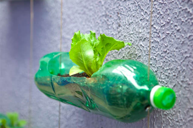 7 kreasi kreatif dari  botol plastik bekas  Tips dan Inspirasi