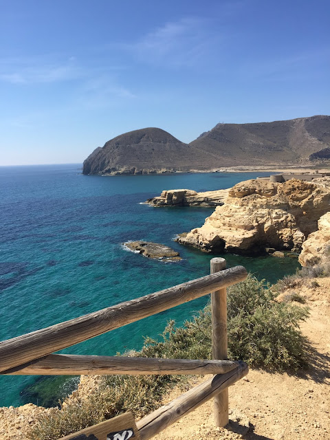 Posidonia meadows visible as dark patches under the sea