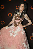 Kanika Kapoor glamorous photos-thumbnail-13