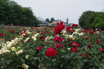 与野公園