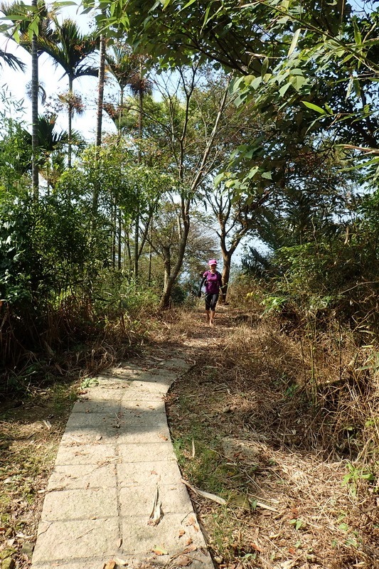 2014_1012 半天古道上梅山36彎出梅圳國小O走_031