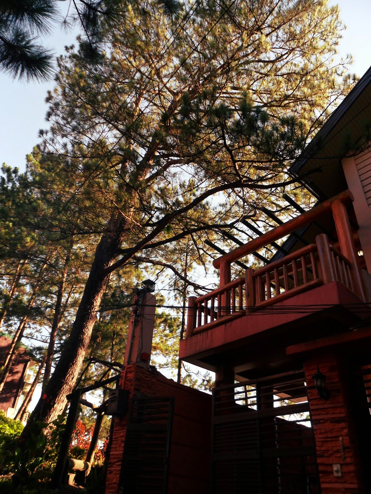 Baguio Pines Transient House