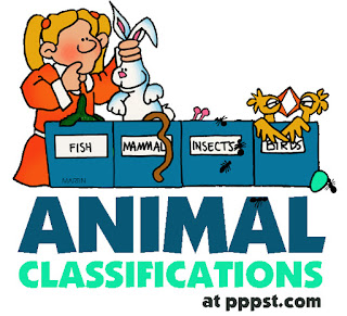 http://www.sheppardsoftware.com/content/animals/quizzes/kidscorner/animal_games_forest_large.html