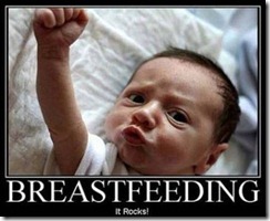funny pics (12)