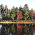 Tully Lake - Tully Lake Campground