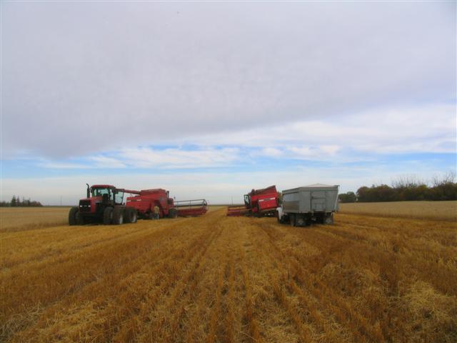 Combines Stuck In Mud. zynq- Stuck+combines