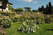 Giardino delle Rose, Florence, Italy