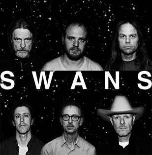 Swans-2012-Dennis-van-Doorn