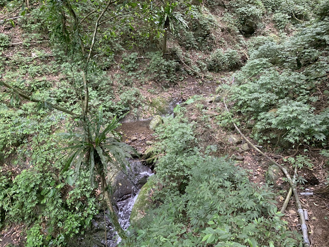 IMG_6445.jpeg