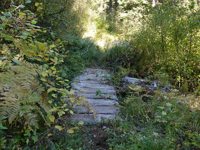 bridge almost above the ground level