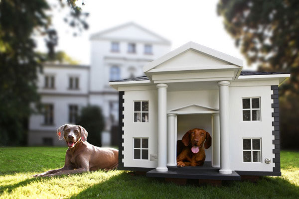 House designs for Dog