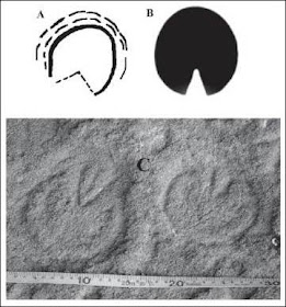 rock engravings of horse tracks. Patagonia