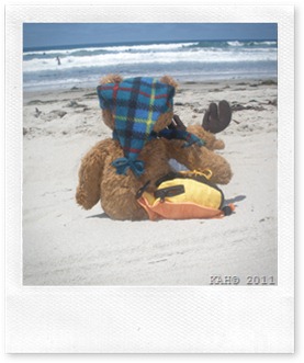 Moosey-Moose With Sleepy Bear - Saying Good Bye to the Beach