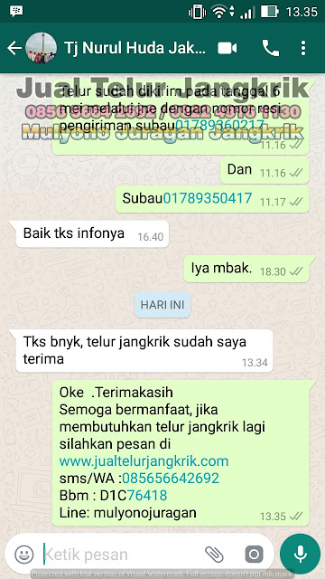 Part 4 Testimoni Ternak Jangkrik dari Pelanggan Telur Jangkrik