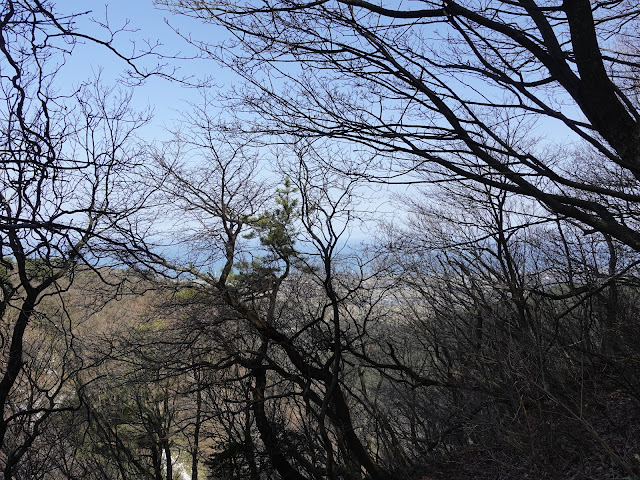 孝霊山　中腹の急な坂道