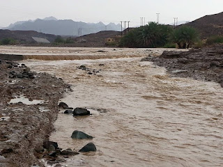 صور أمطار جبال وادي عاهن الآن  ولاية صحار