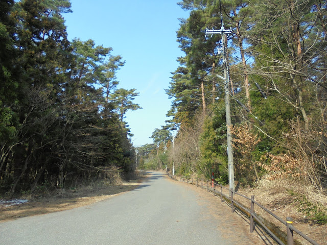 別荘地の道路を大成池に向かいます