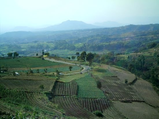 Lereng Gunung Lawu Yang Menawan