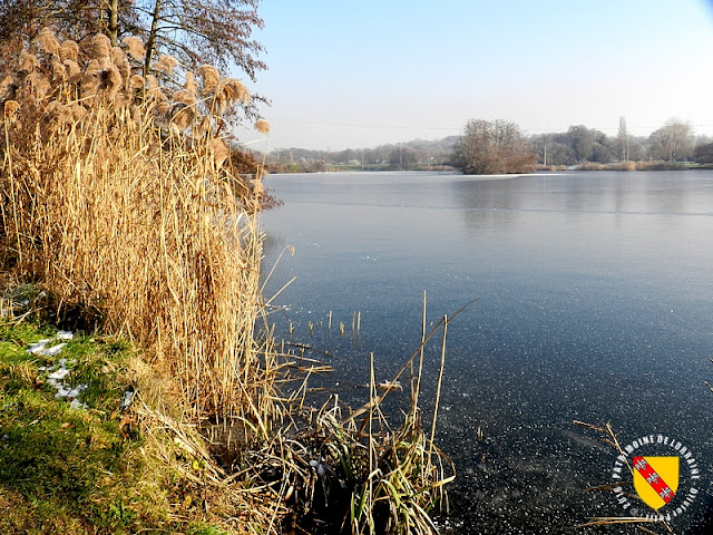 MEREVILLE (54) - Etang de la Justice gelé !