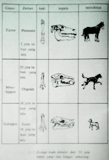 Fosil Sebagai Catatan Sejarah