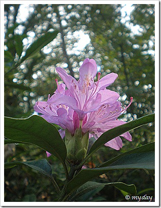 november2010 027