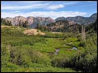 Beautiful Mountain Stream  just past Meadow looking North towards Big Cottonwood Canyon