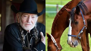 Willie Nelson rescued 70 horses from a slaughterhouse to let them roam freely at his Texas ranch