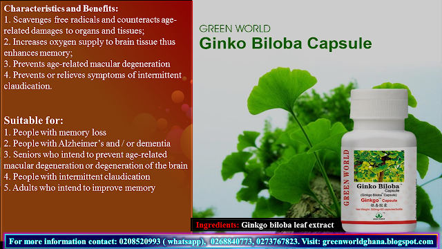Health benefits and functions of Green World Ginkgo Biloba Capsules on retentive memory, blood circulation and brain care