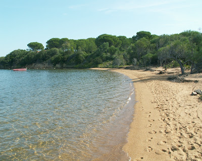 Beach Photos