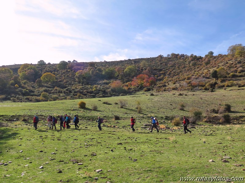 Dehesa del Camarate